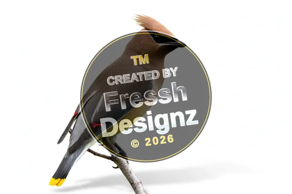 design FD-BRD-032