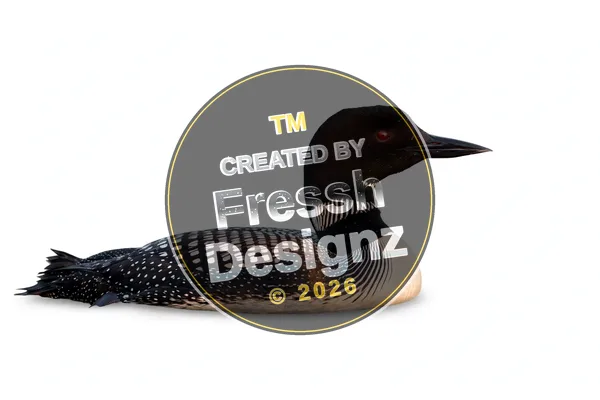 design FD-BRD-037