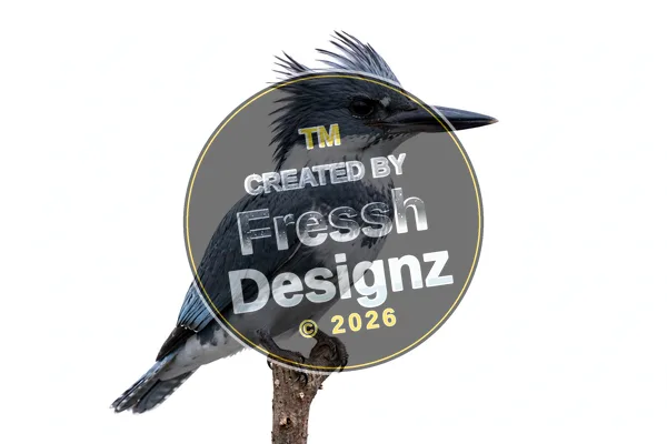design FD-BRD-038