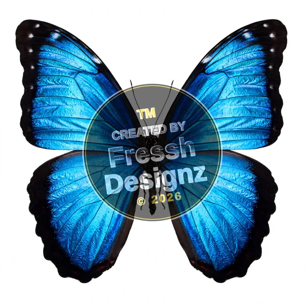 design FD-BTF-013