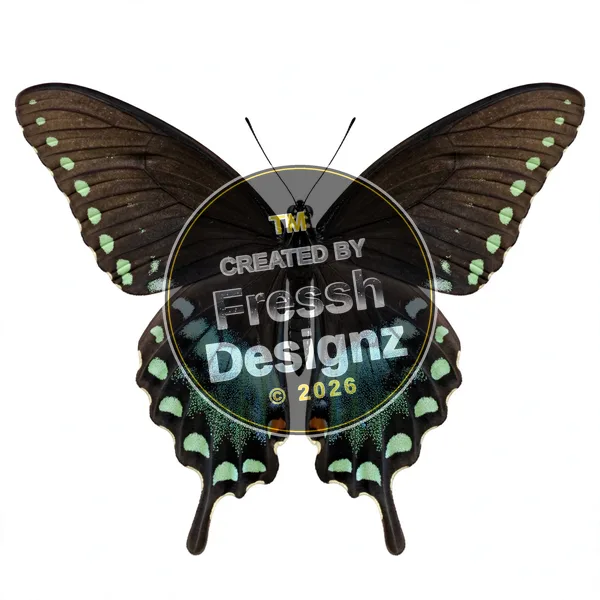 design FD-BTF-023