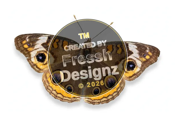 design FD-BTF-027
