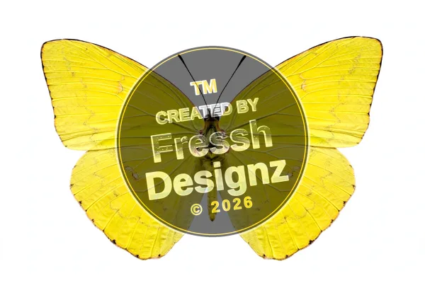 design FD-BTF-044