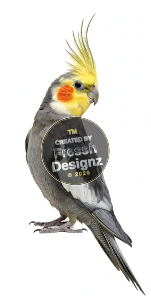 design FD-PET-016